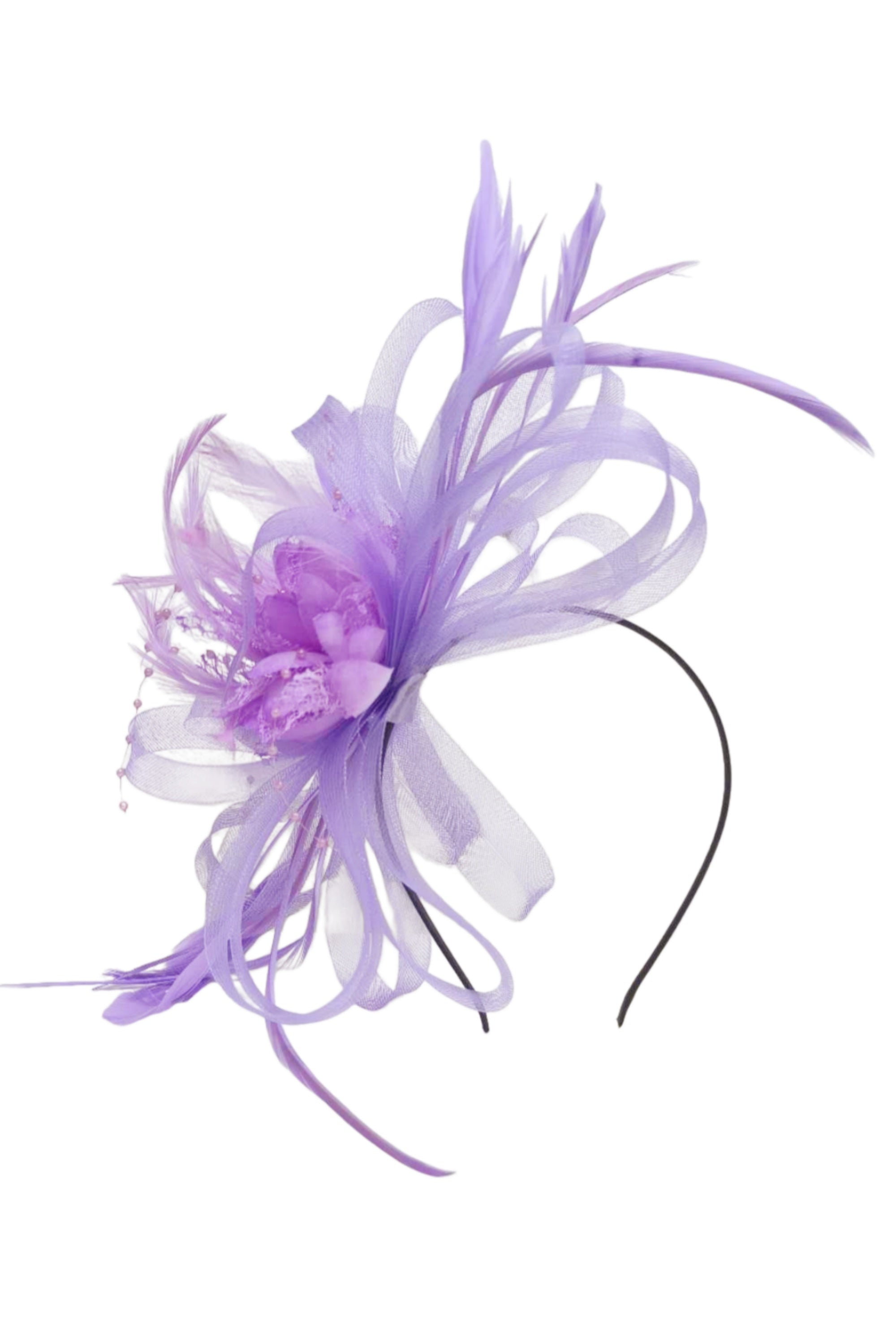 FASCINATOR