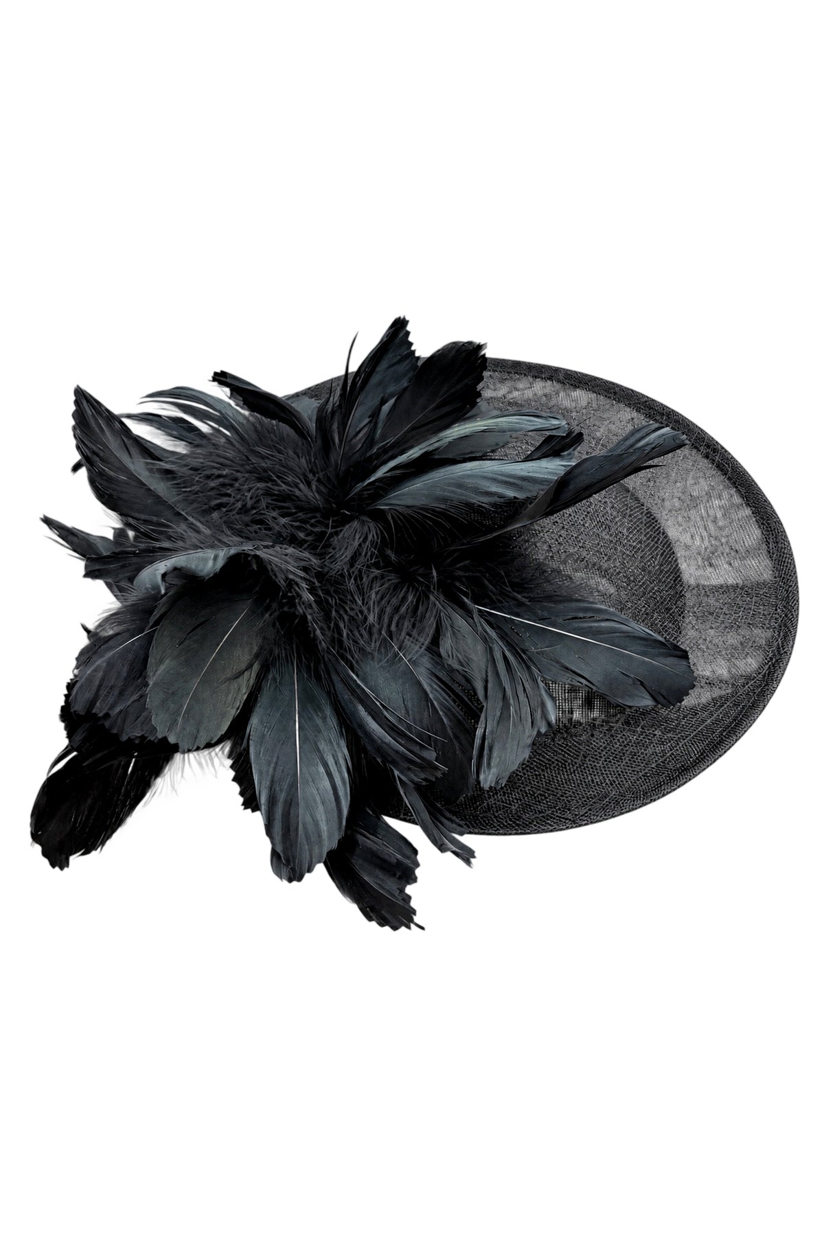 Statement Feather Flower Wide Brim Fascinator
