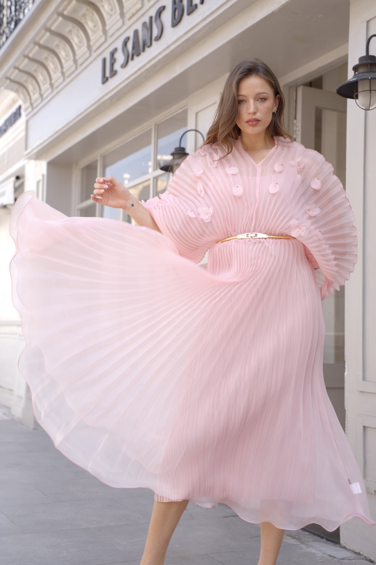 Floral Appliqué Pleated Organza Cape Midi Dress