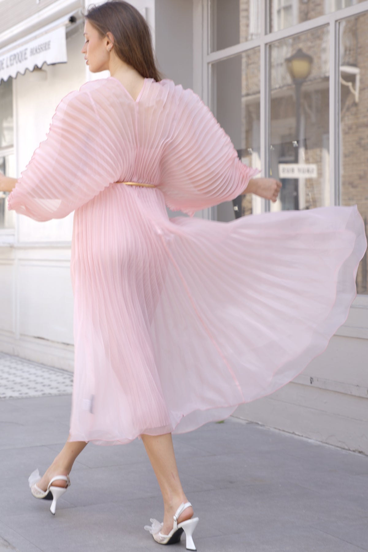 Floral Appliqué Pleated Organza Cape Midi Dress