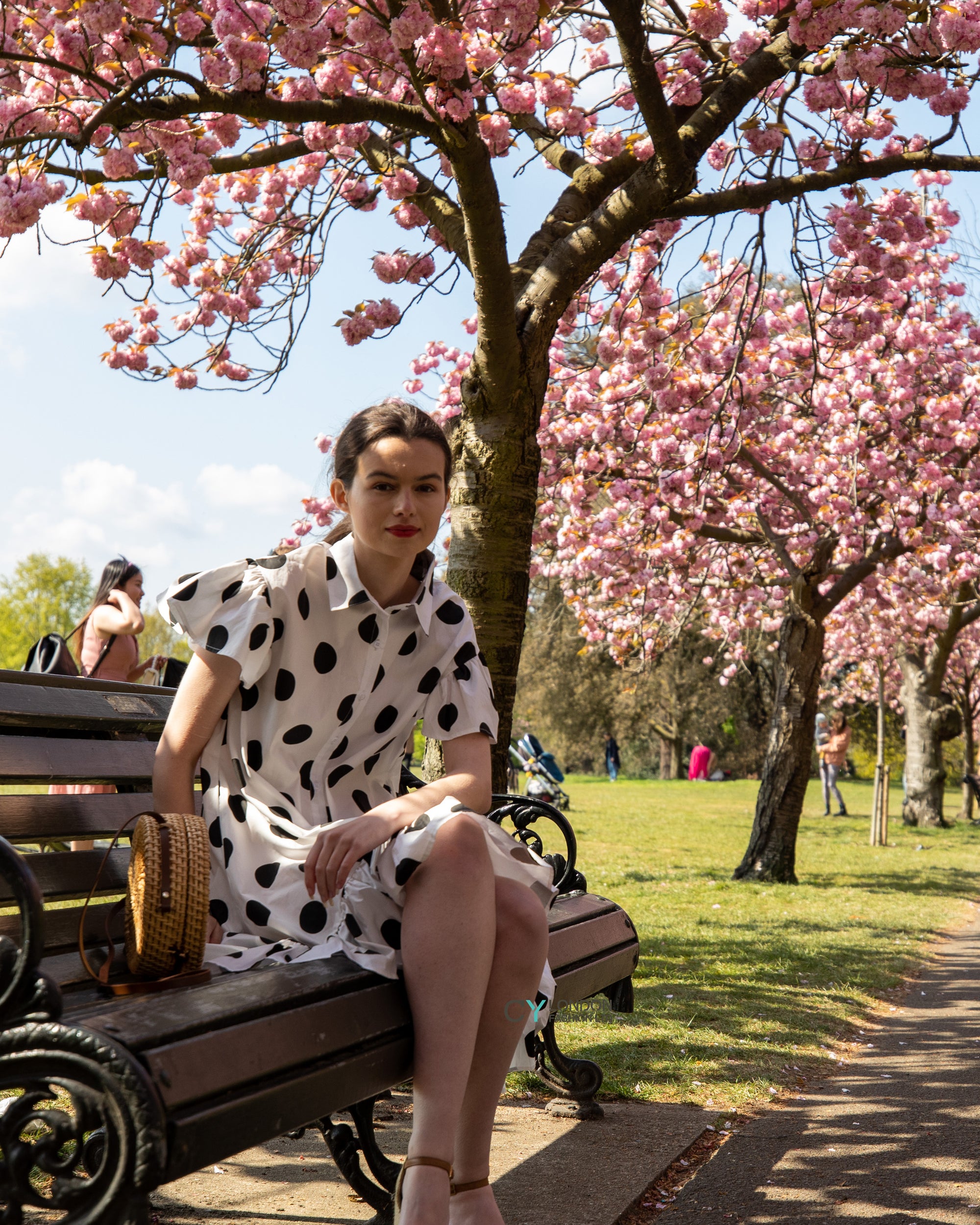 Polka Dot print dip hem dress with frill sleeves design in black white color
